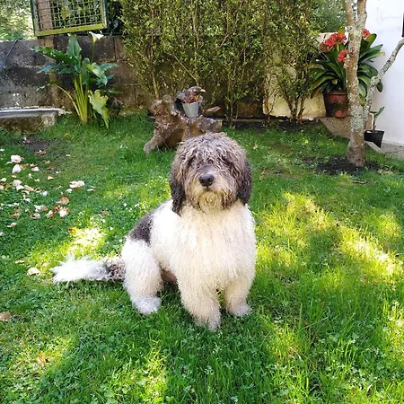 Kwatera prywatna Paradise In