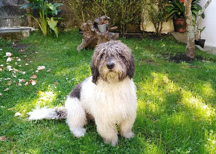 בית אירוח Paradise In